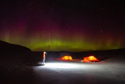 Tova Valenki Rough Natural Brown