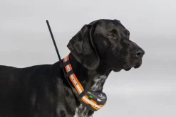 Tracker Artemis Black