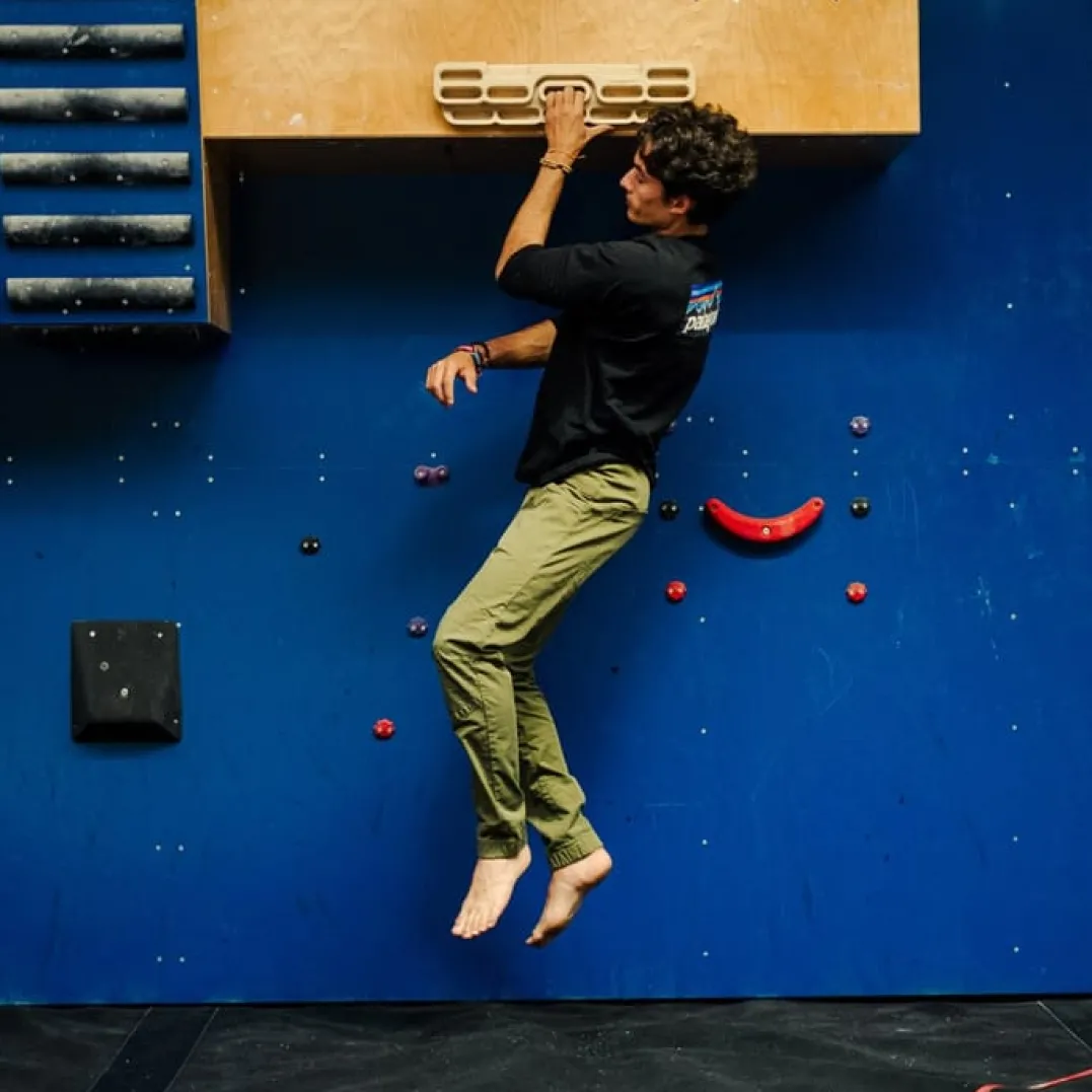 Y&Y Verticalboard First Wood